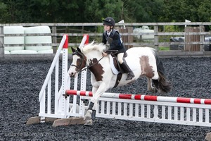 Class 5 - Fences not above 2'6